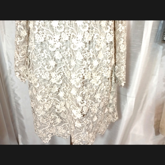 Polo Ralph Lauren Lace Long Sleeve Wedding Dress, Gray,Bell Sleeve,Knee Lngth,16 - Picture 6 of 16